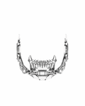 CHROME BITE JAW INTERFACE MASK 3D DIGITAL FILE